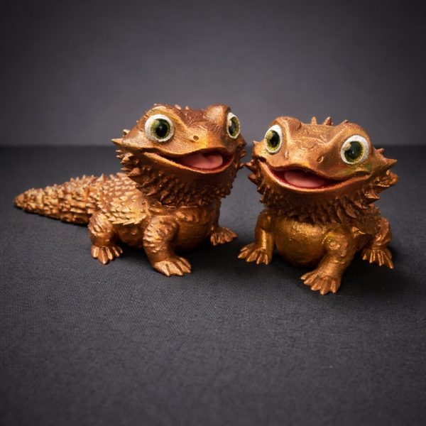 Bearded Dragon babies