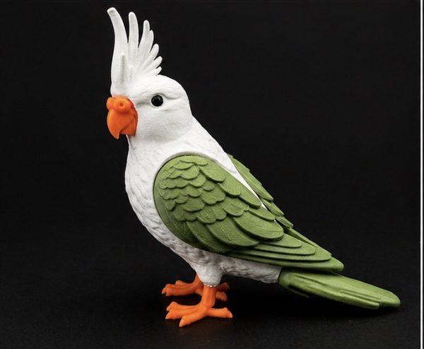Birds